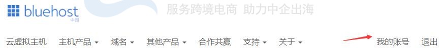 BlueHost主机