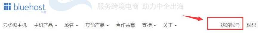 BlueHost中国