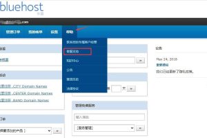 BlueHost后台管理系统