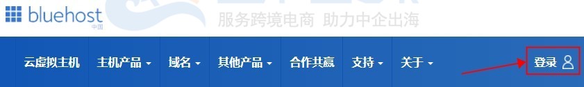 BlueHost中国