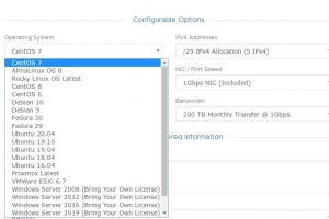 大硬盘美国服务器