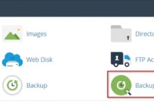 cPanel备份