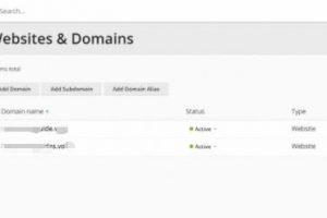 Plesk控制面板后台