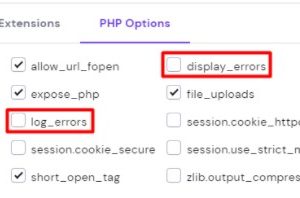 hpanel面板查看PHP错误信息