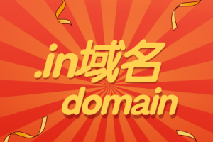 in域名