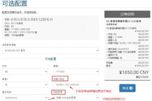 Megalayer香港站群服务器