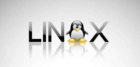 Linux服务器