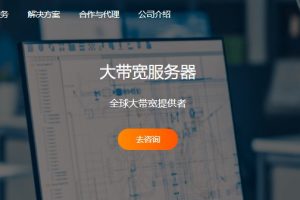 美国大带宽服务器