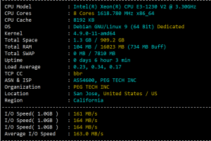RAKsmart CN2 GIA服务器CPU和I/O读写