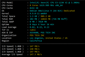 RAKsmart美国CN2 GIA服务器性能