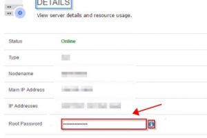 Hostwinds VPS登录密码