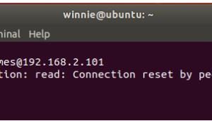 ssh远程登录服务器