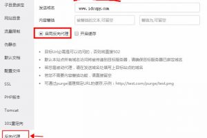 宝塔面板反向代理