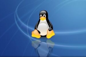 Linux磁盘分区