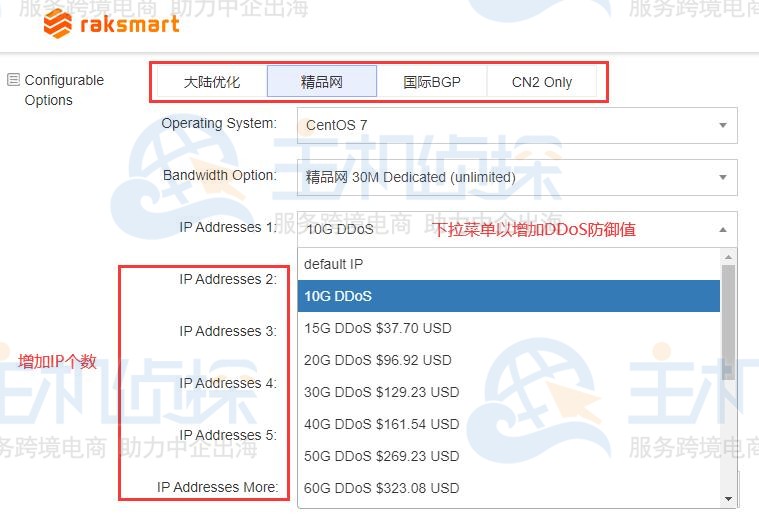 美国高防服务器