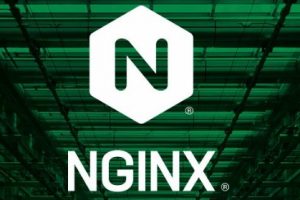 Nginx修改默认配置文件路径
