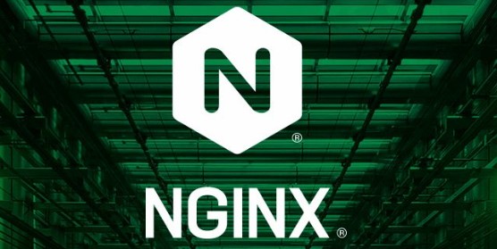 Nginx修改默认配置文件路径