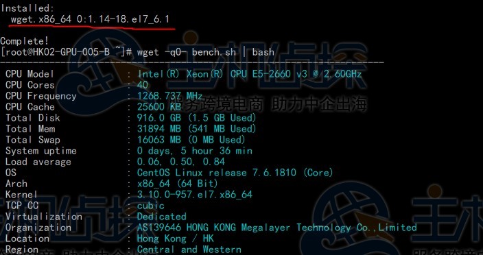 command not found怎么解决