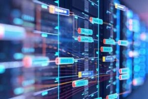 美国多IP站群服务器