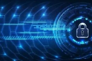 企业型OV SSL证书