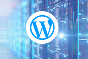 IOZoom WordPress VPS主机