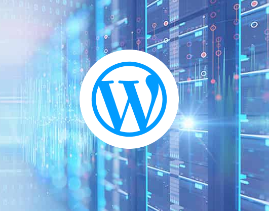 IOZoom WordPress VPS主机