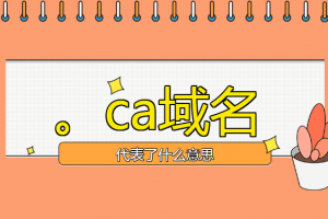 ca域名
