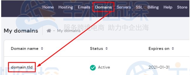 更改域名服务器