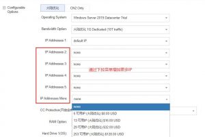 RAKsmart美国服务器