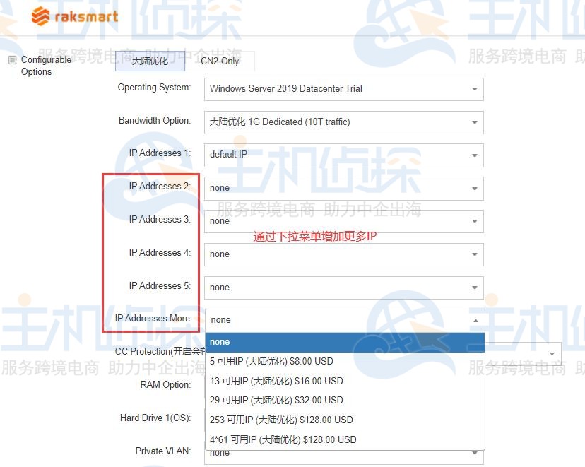 RAKsmart美国服务器