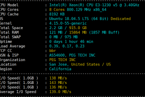 RAKsmart美国服务器性能