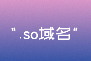 so域名