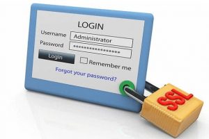 Digicert FLEX系列SSL证书