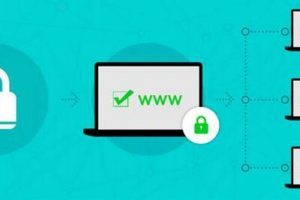 通配符SSL证书多少钱