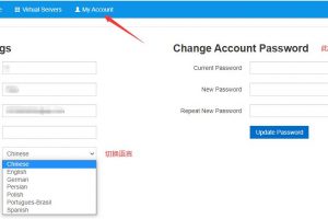 RAKsmart VPS控制面板更改语言选项