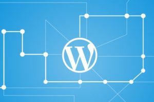 WordPress如何关闭30天自动清理回收站功能