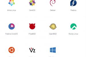 Vultr VPS服务器操作系统
