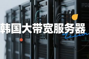 韩国大带宽服务器