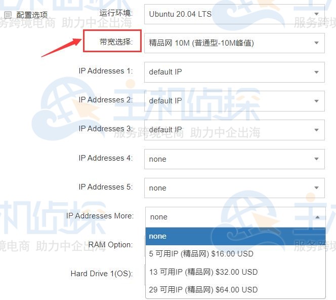 RAKsmart香港CN2服务器
