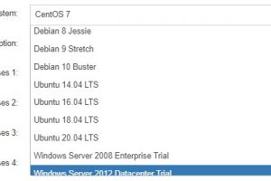 RAKsmart美国服务器操作系统