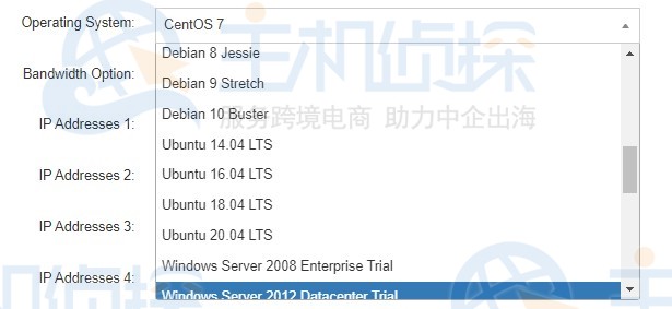 RAKsmart美国服务器操作系统