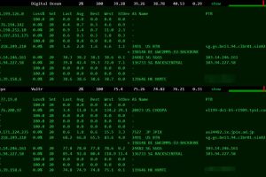 megalayer新加坡测试