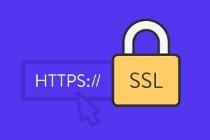 购买https证书需要多少钱