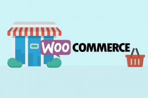 Hostinger WooCommerce主机