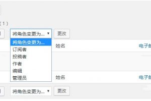 WordPress用户角色权限