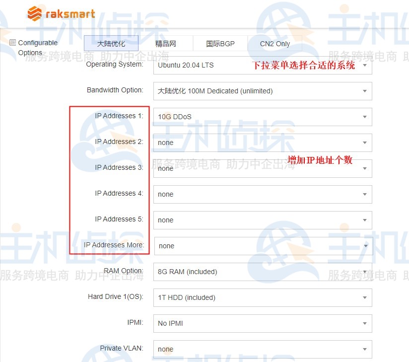 RAKsmart美国服务器
