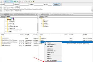 BlueHost云虚拟主机文件权限设置