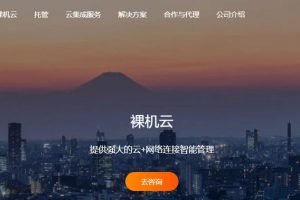 RAKsmart独立服务器特惠秒杀