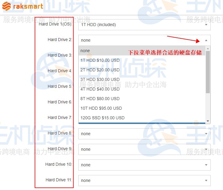 RAKsmart美国服务器存储空间
