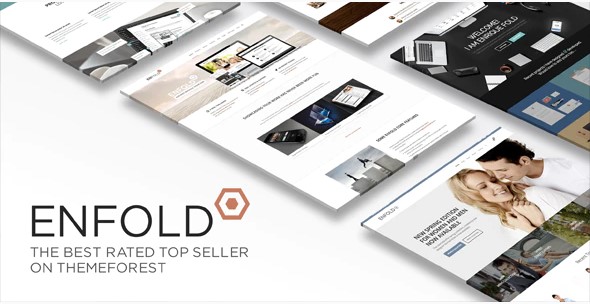 Enfold主题